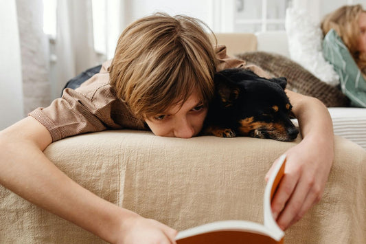 Why  Dogs Are Our Everyday Mental Health Heroes