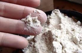 Flea, Tick and Worm Control