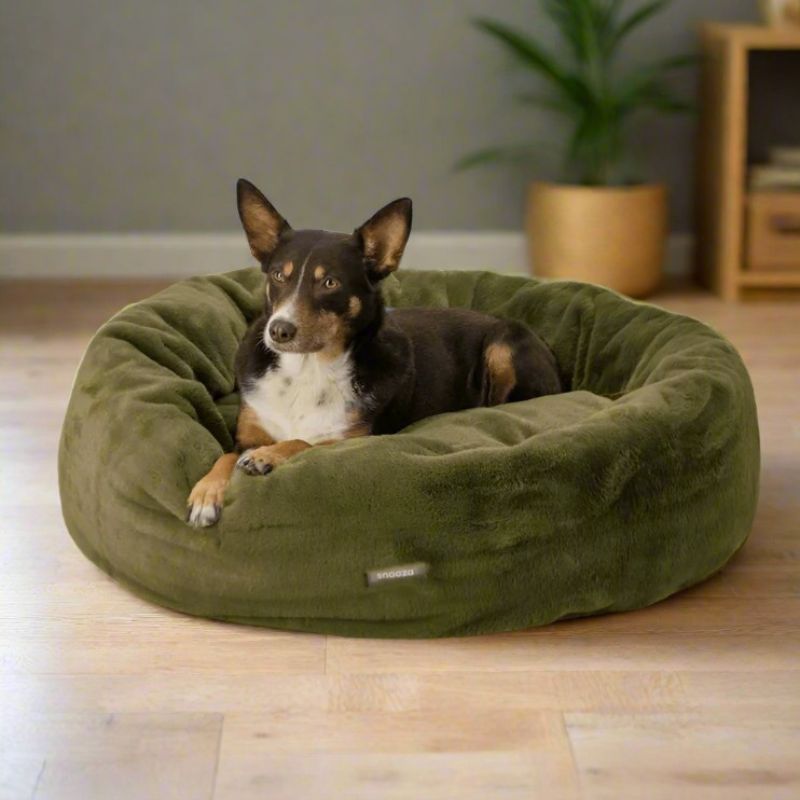 Crates, Beds and Bedding