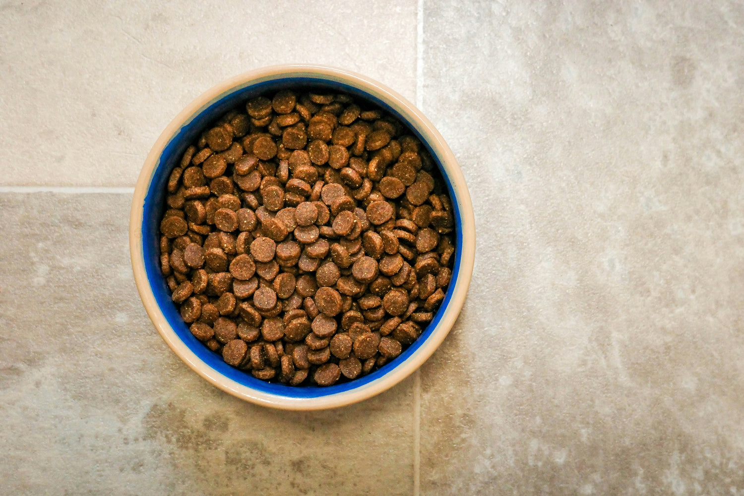 Adult Dog Food