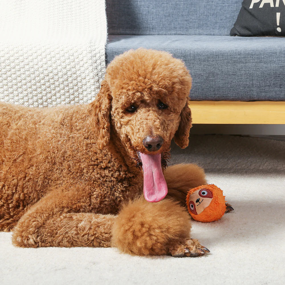 Hugsmart – Zoo Ball – Super Ball Sloth