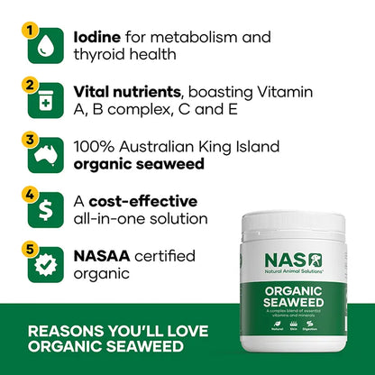 Natural Animal Solutions – Organic Seaweed