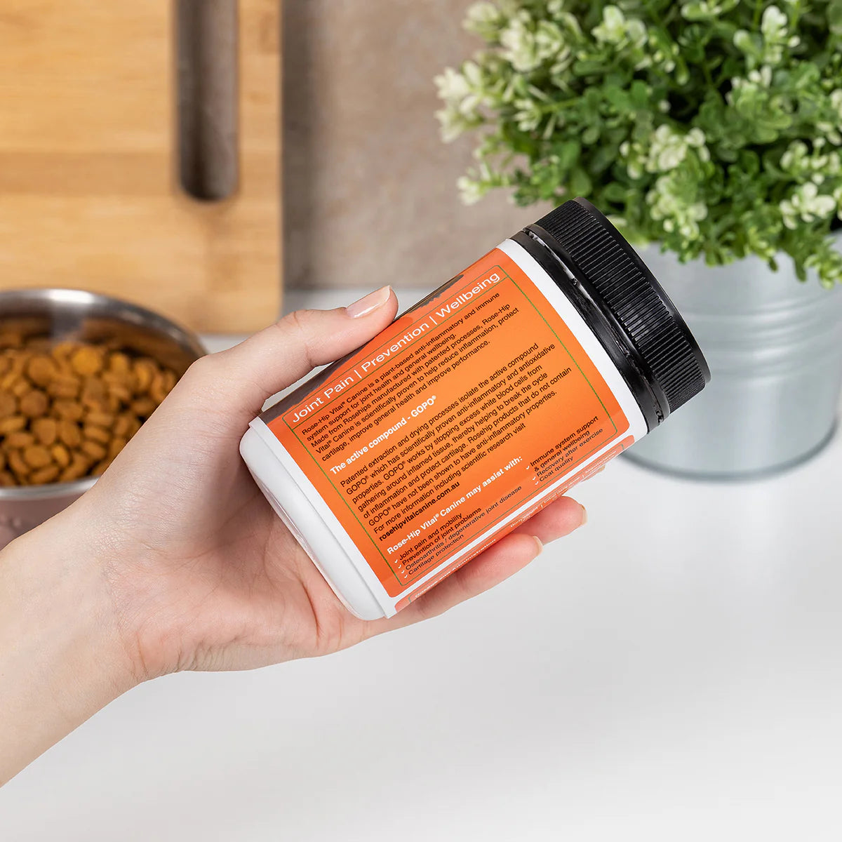 Hand holding a supplement container of Premium canine joint support powder with antioxidants and vitamin C for mobility and wellbeing with pet food and a plant in the background 