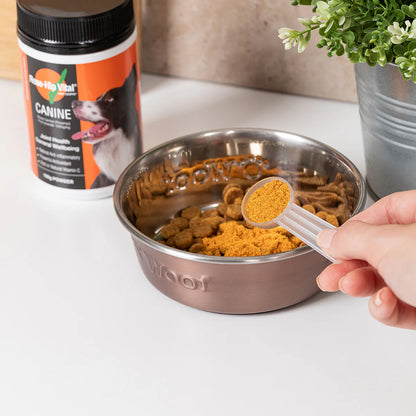 Dog food bowl with Natural anti-inflammatory dog supplement promoting mobility, immune support, and coat health next to a container of Canine Rose Hip Vital