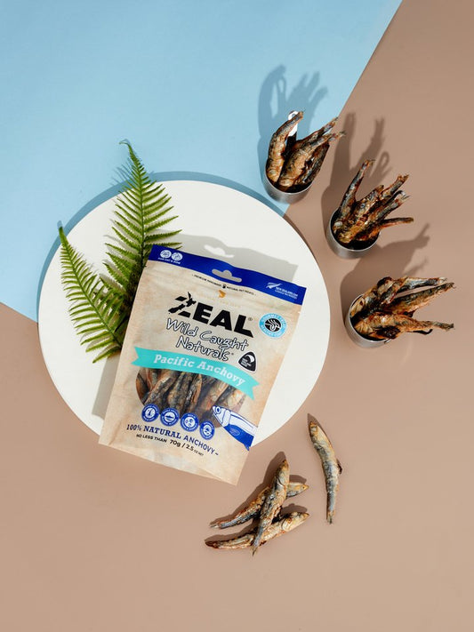 zeal pacific anchovy 70g natural pet treat for cats and dogs