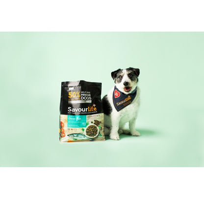 SavourLife Essentials Adult Dog Food – Australian Ocean Fish