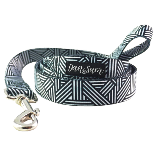 Dan & Sam Dog Lead – Abstract