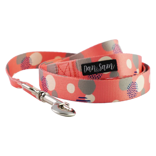 Dan & Sam Dog Lead – Fabulous