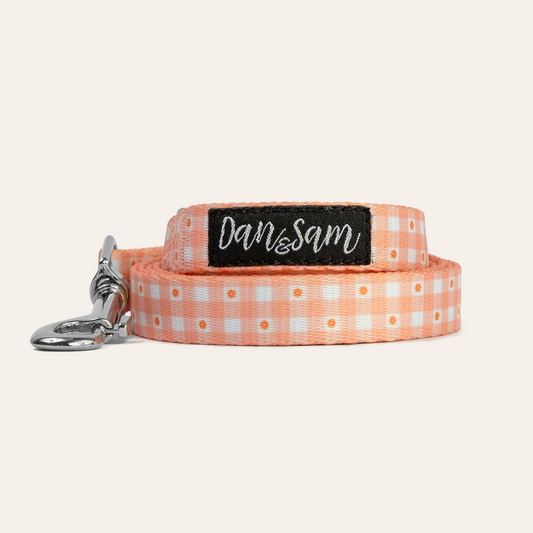 Dan & Sam Dog Lead – Daisy Picnic