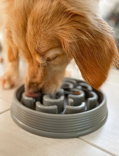 Barkley & Bella – Slow Chow Feeder