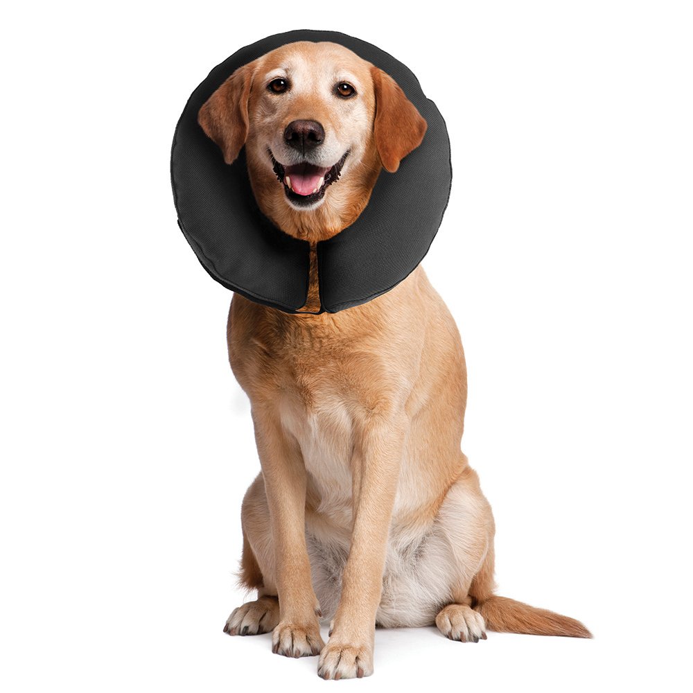The ZenPet Pro Collar is a lightweight, inflatable alternative to the Cone of Shame.