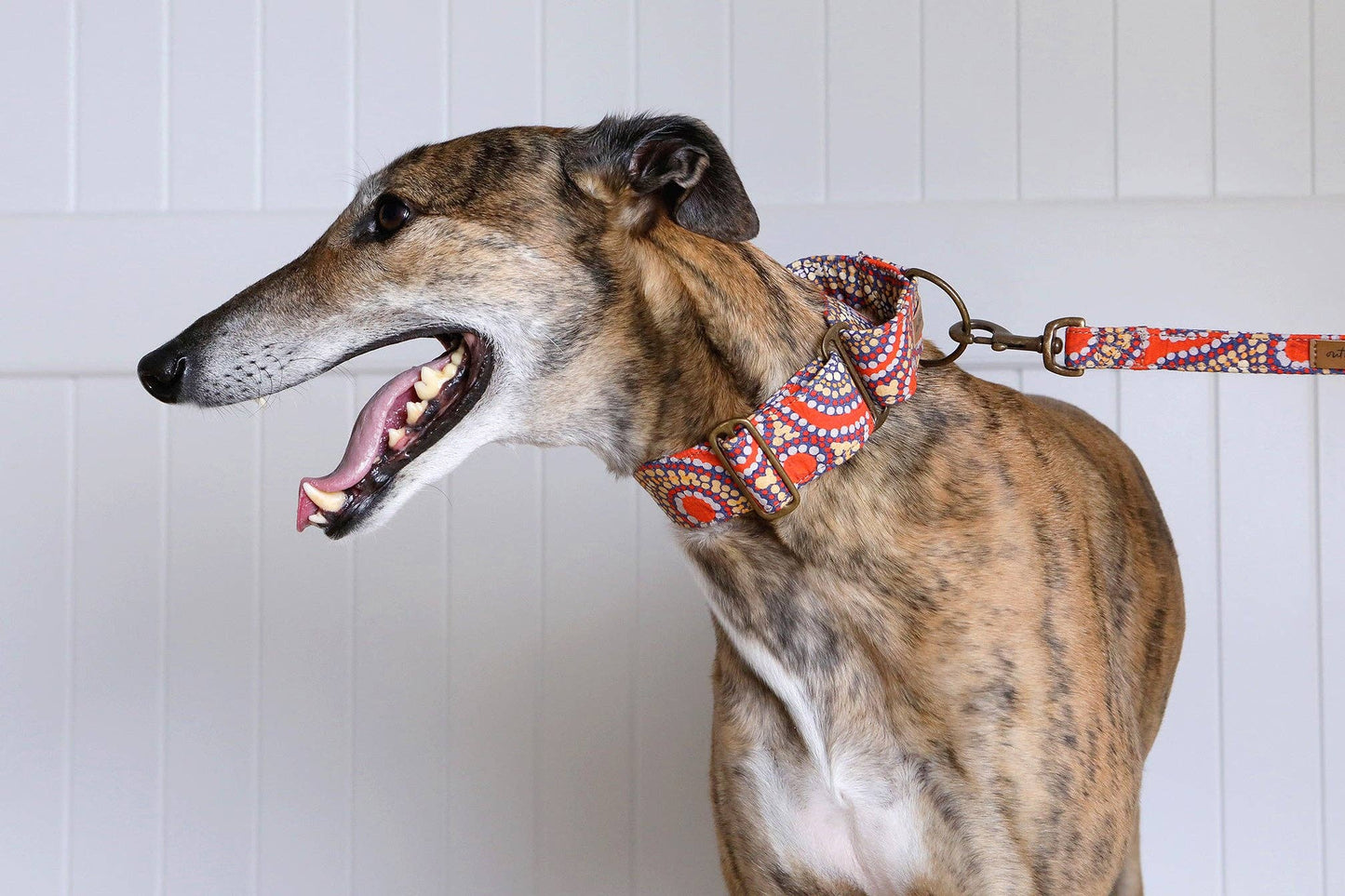 Martingale Collar - Snake Dreaming