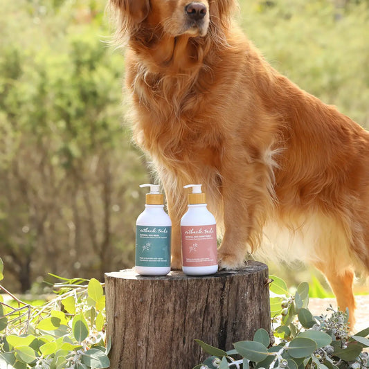 Natural Dog Conditioner