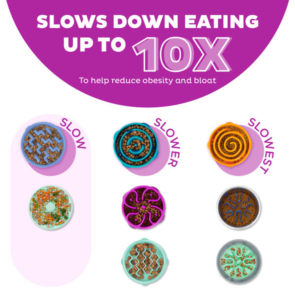 Outward Hound – Fun Feeder Slo Bowl – Regular