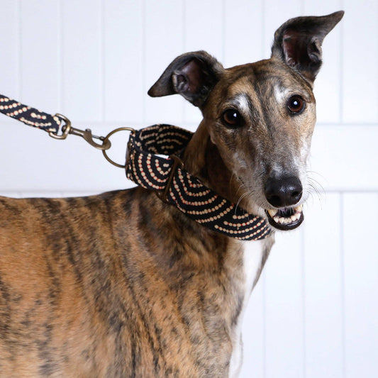 Martingale Collar - Ngama