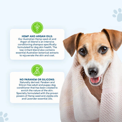 Stay Loyal – Calming Shampoo