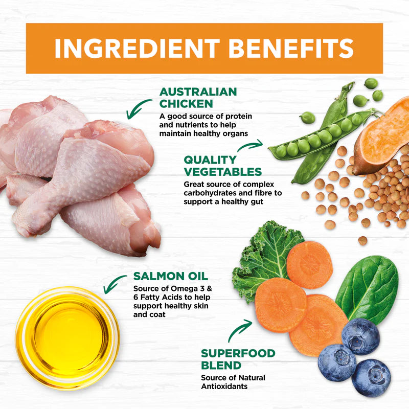 Ivory Coat – Adult Dog – GRAIN FREE – Chicken