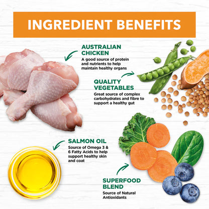 Ivory Coat – Adult Dog – GRAIN FREE – Chicken