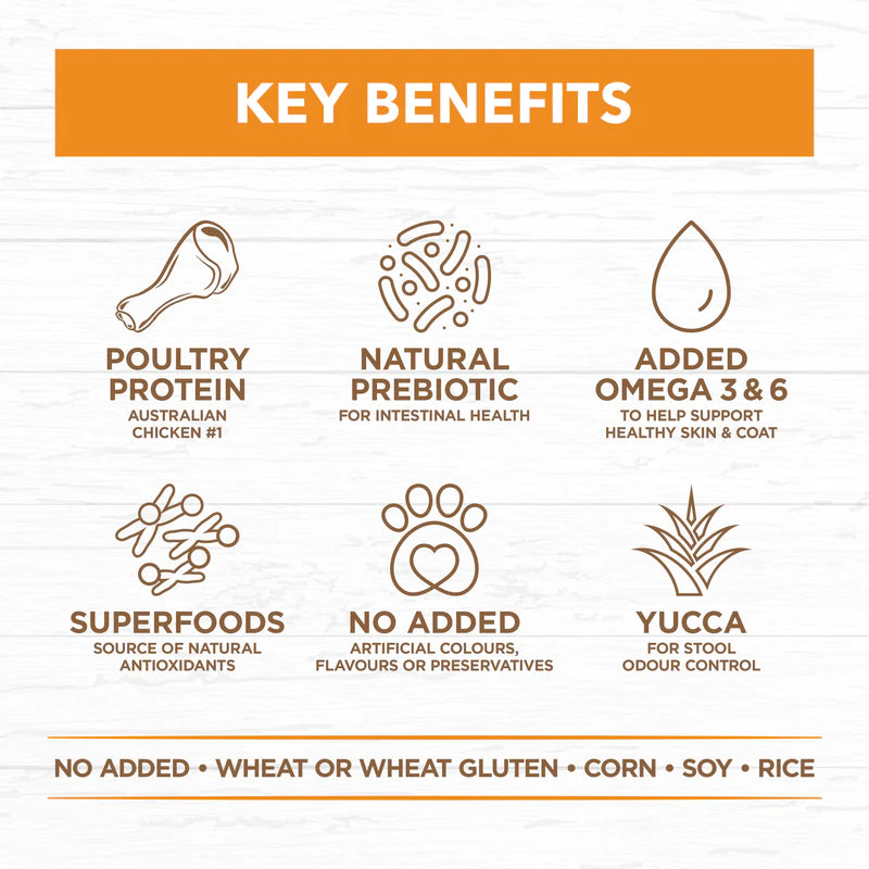 Ivory Coat – Adult Dog – GRAIN FREE – Chicken