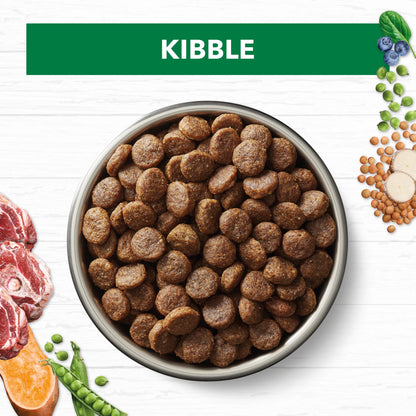 Ivory Coat – Adult Dog – GRAIN FREE – Large Breed – Lamb