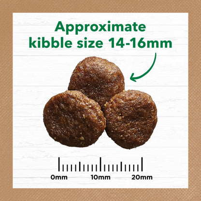 Ivory Coat – Adult Dog – GRAIN FREE – Large Breed – Lamb