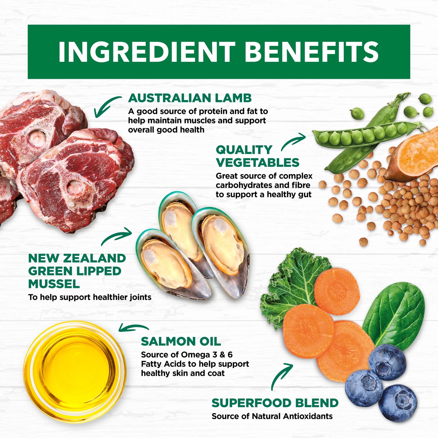 Ivory Coat – Adult Dog – GRAIN FREE – Large Breed – Lamb