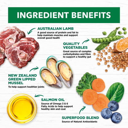 Ivory Coat – Adult Dog – GRAIN FREE – Large Breed – Lamb