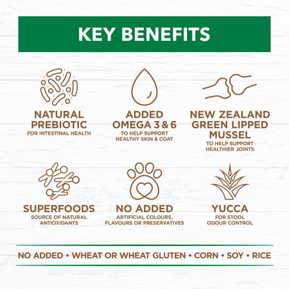 Ivory Coat – Adult Dog – GRAIN FREE – Large Breed – Lamb