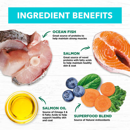 Ivory Coat – Kitten – GRAIN FREE Ocean Fish & Salmon - 2kg