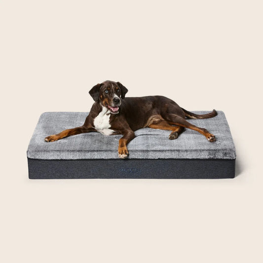 Snooza – Big Dog Bed – Chinchilla