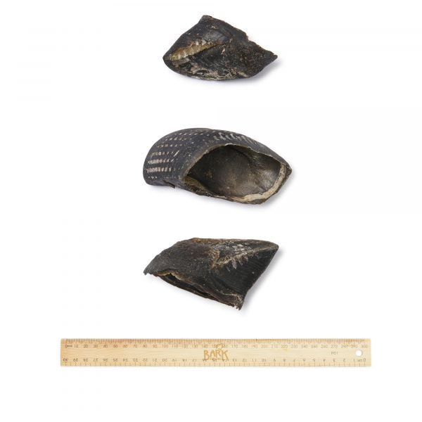 Bark & Beyond – Cow Hooves - 8 pieces