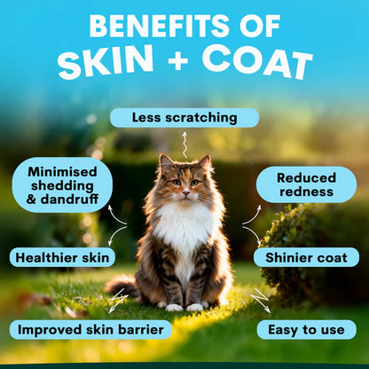 PetzPark – Skin + Coat – For Cats