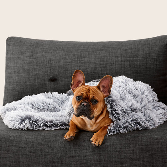 Snooza – Calming Cuddler Blanket – Chinchilla & Silver Fox