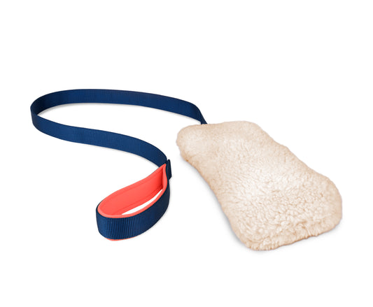 Coachi – Chase & Crinkle Dog Toy