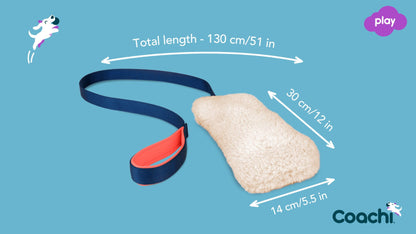 Coachi – Chase & Crinkle Dog Toy