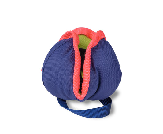 Coachi – Chase & Treat Toy for Dogs