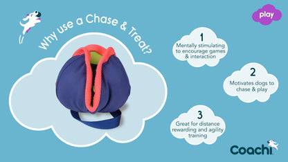 Coachi – Chase & Treat Toy for Dogs