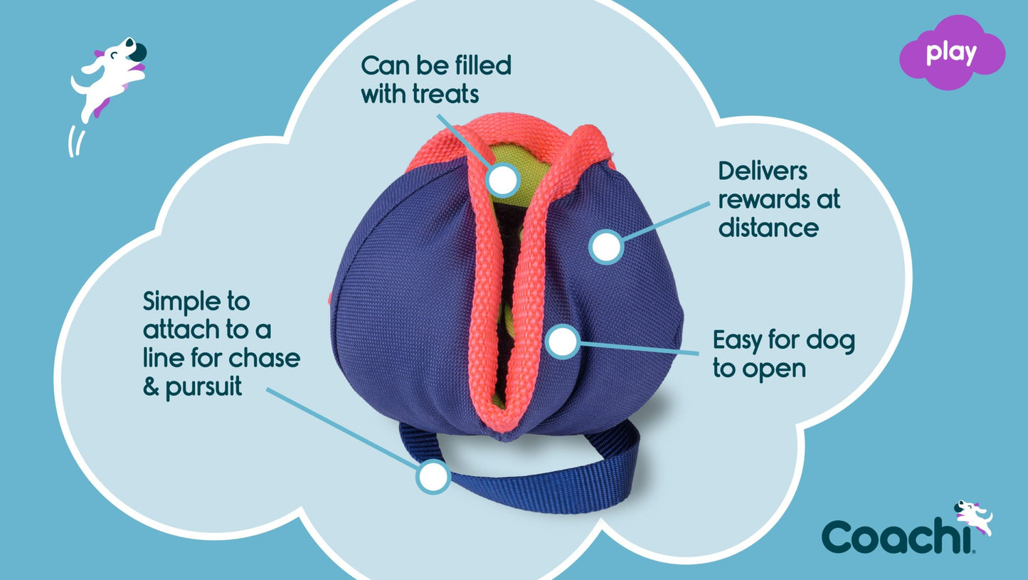 Coachi – Chase & Treat Toy for Dogs
