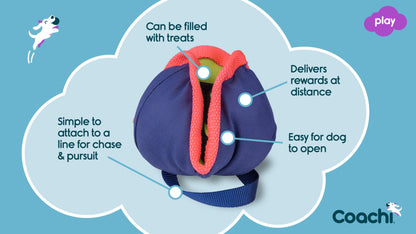 Coachi – Chase & Treat Toy for Dogs
