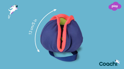 Coachi – Chase & Treat Toy for Dogs