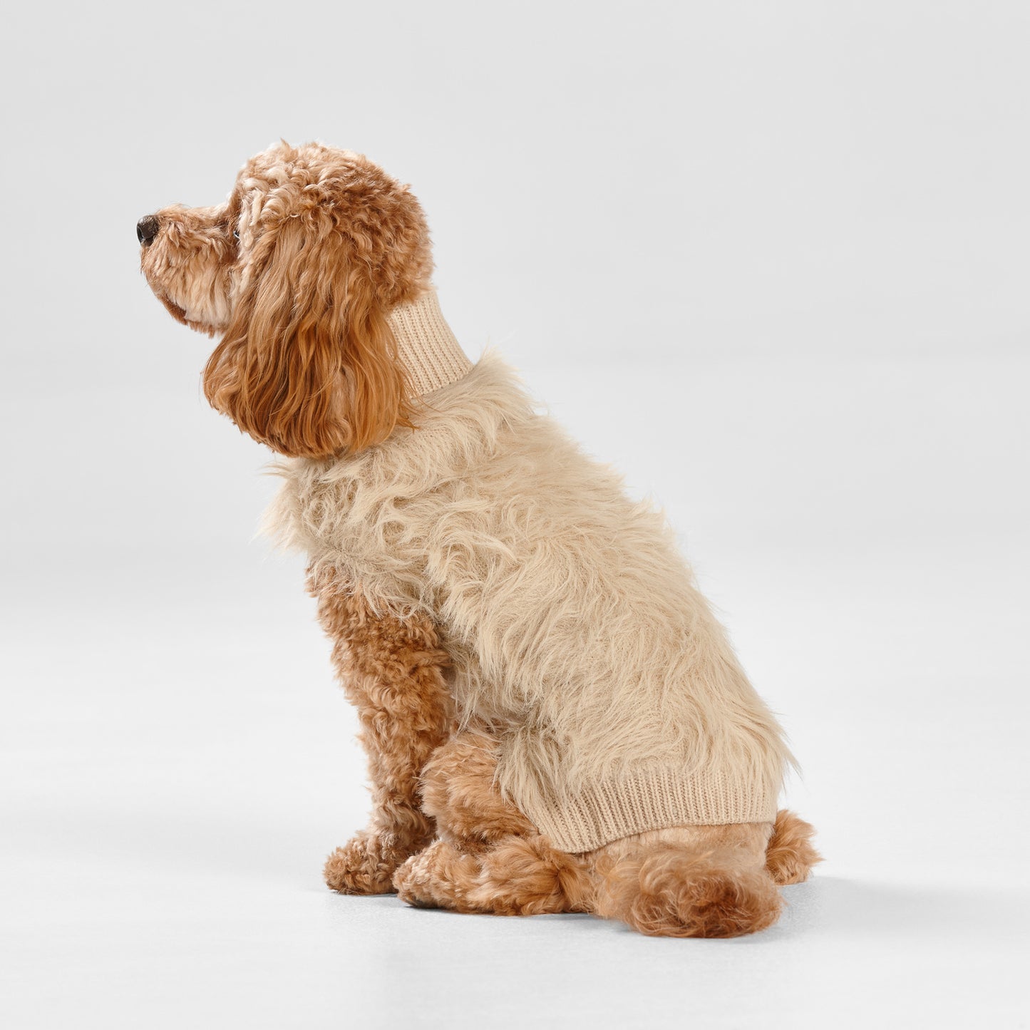 Dog coat for small and medium dogs. 