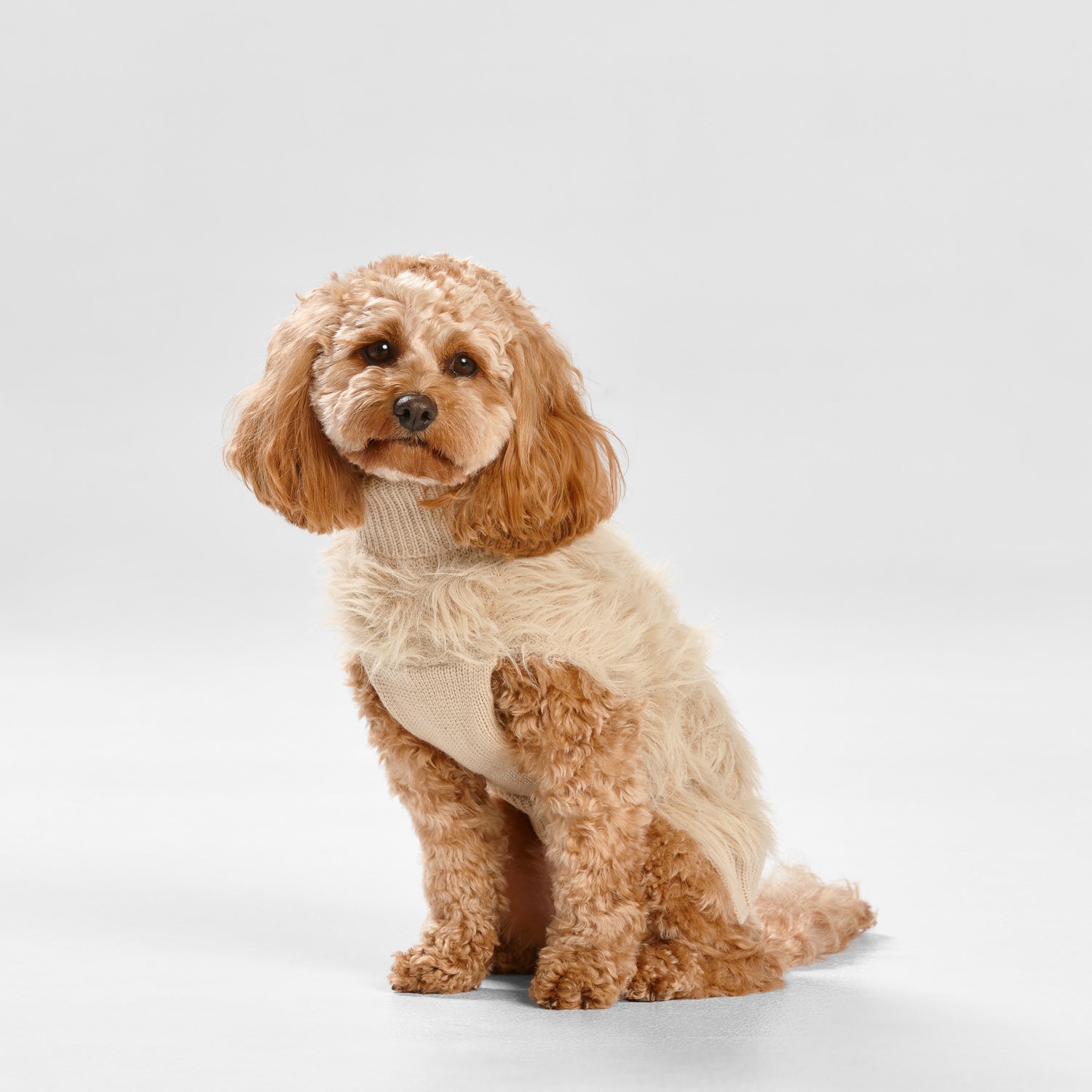 Warm, comfortable knit dog coat/ jacket 