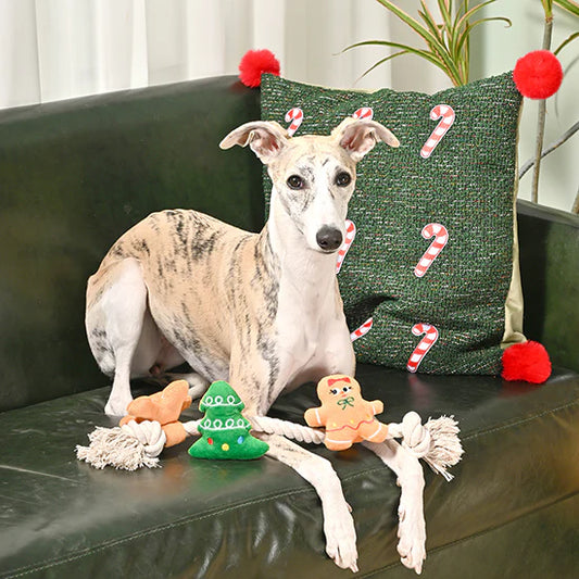 Hugsmart – Happy Woofmas – Holiday Gingerbread