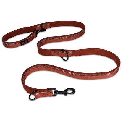Company of Animals Dog Halti with Double Ended Lead