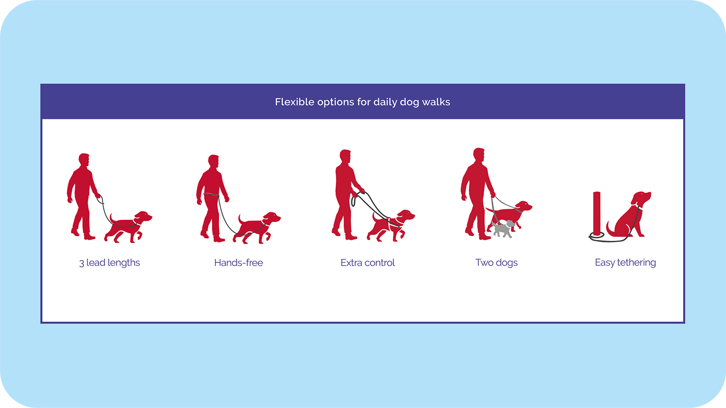 Company of Animals Dog Halti with Double Ended Lead