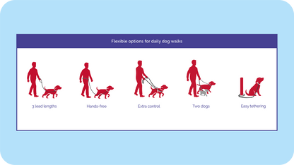 Company of Animals Dog Halti with Double Ended Lead