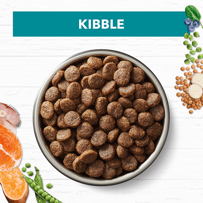 Ivory Coat – Adult Dog – GRAIN FREE – Salmon & Ocean Fish