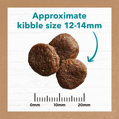 Ivory Coat – Adult Dog – GRAIN FREE – Salmon & Ocean Fish