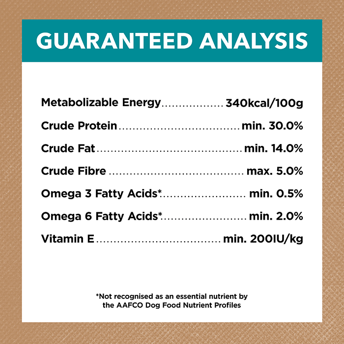 Ivory Coat – Adult Dog – GRAIN FREE – Salmon & Ocean Fish