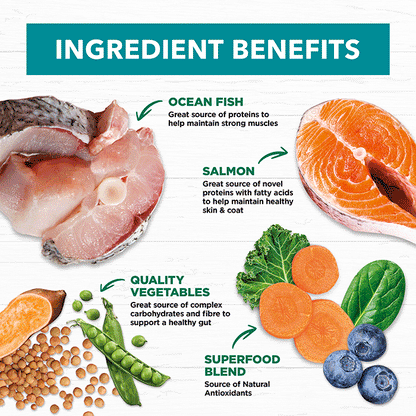 Ivory Coat – Adult Dog – GRAIN FREE – Salmon & Ocean Fish